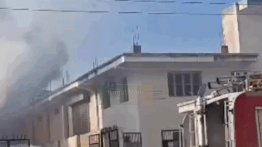 Rajasthan: અલવરની ફેક્ટરીમાં ભીષણ વિસ્ફોટ અને આગ, 7 શ્રમિકોના મોત